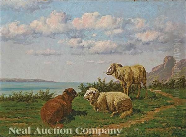 Sheep And Ram On A Hillside - view 1