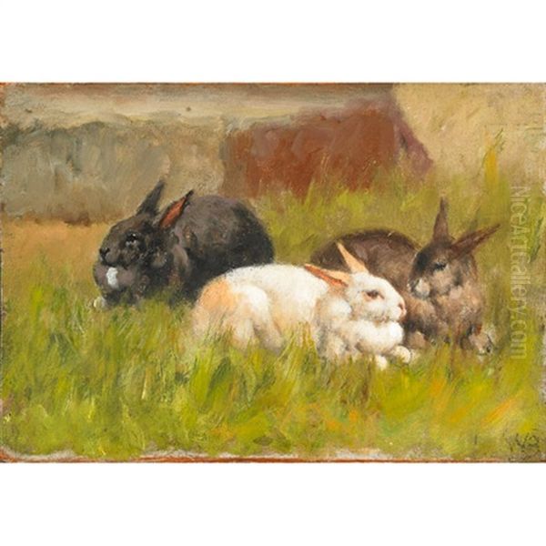 Rabbits In A Field - view 1