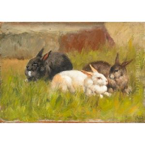 Rabbits In A Field Rabbits In A Field