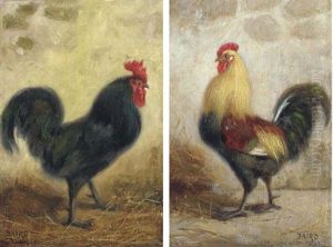 Cockerels (pair) Cockerels (pair)