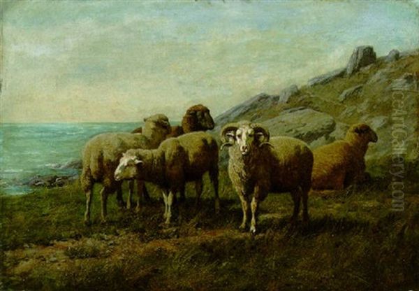 Keep Away From My Ewes - view 1