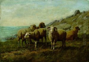 Keep Away From My Ewes Keep Away From My Ewes
