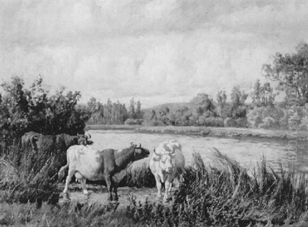 Cattle Watering In The Shallows - view 1