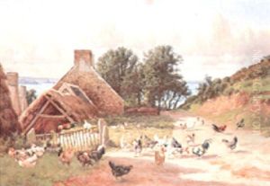 Chickens Near A Cottage Chickens Near A Cottage