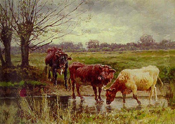 Cattle Watering In A Meadow - view 1