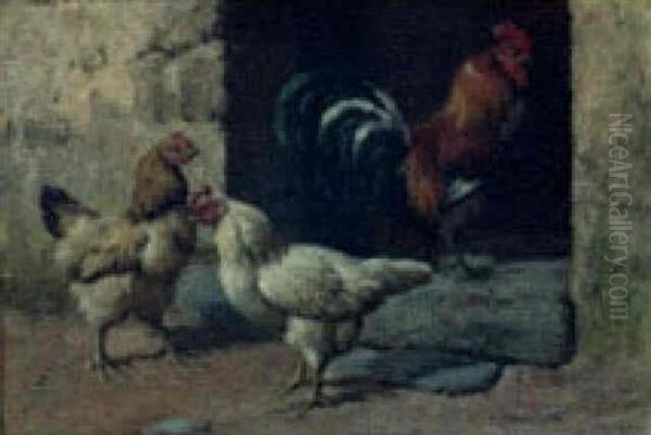Rooster And Hens - view 1