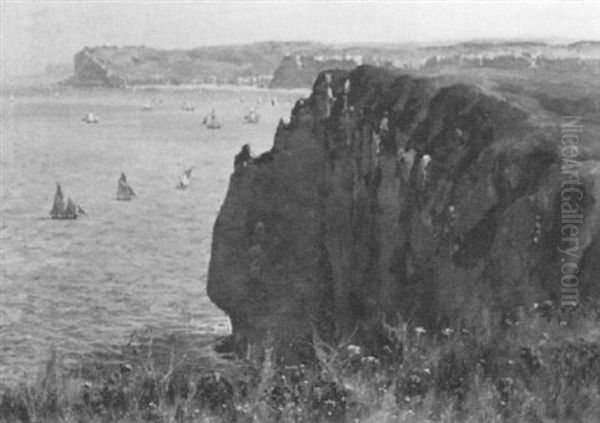 Sea Cliffs With Ships In The Distance - view 1