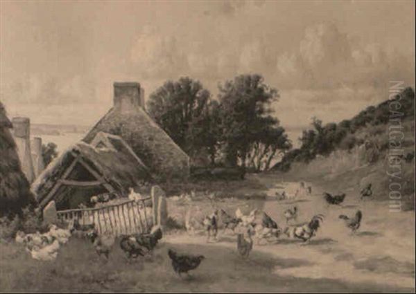 Poultry By A Coastal Farm - view 1