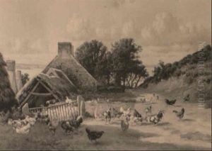 Poultry By A Coastal Farm Poultry By A Coastal Farm