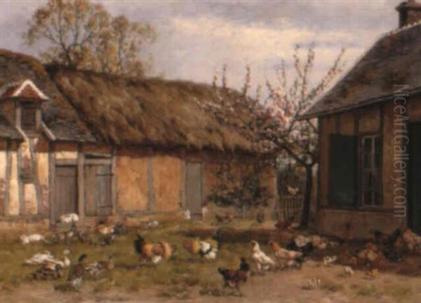 Rabbits And Poultry In A Farmyard - view 1