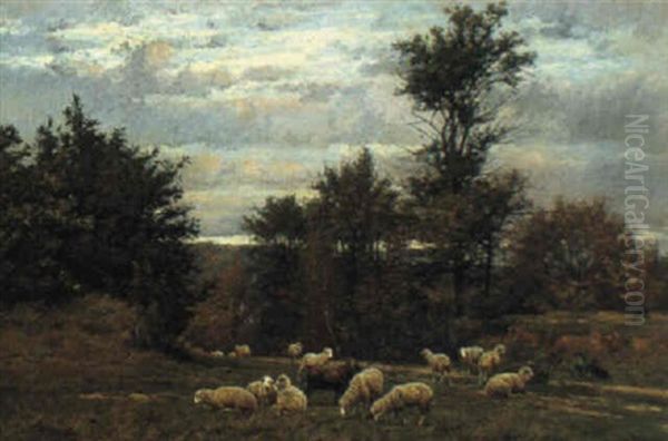 Grazing Sheep In The Countryside - view 1