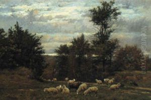 Grazing Sheep In The Countryside Grazing Sheep In The Countryside