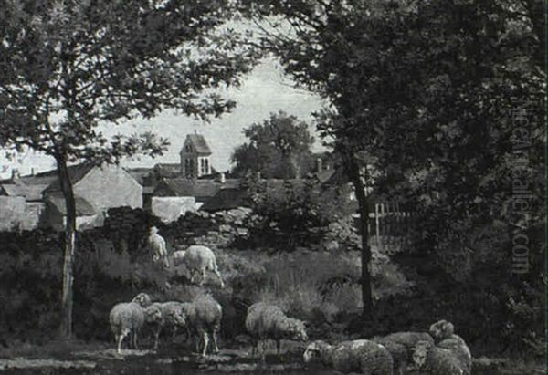 Sheep In A Shady Pasture - view 1