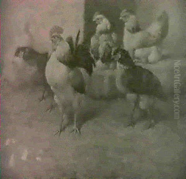 Chickens By A Step - view 1