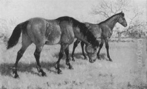 Horses Grazing Horses Grazing