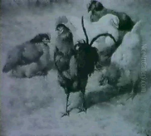 Cockerels And Hens - view 1