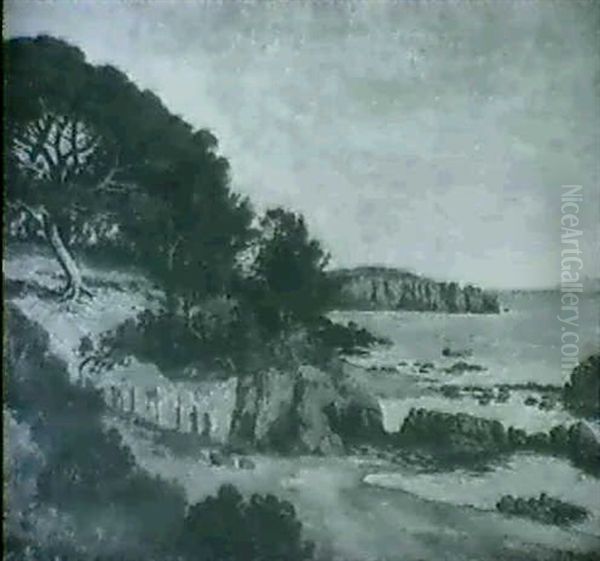 Rocky Coastline - view 1
