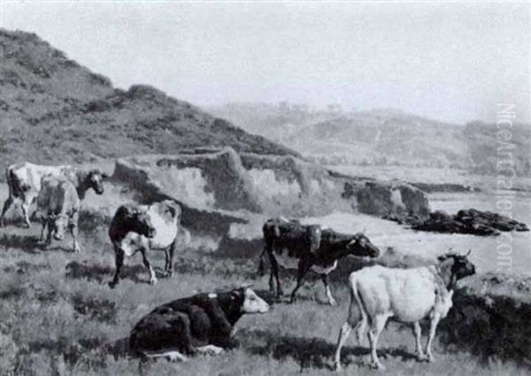 Cattle On Acoastal Landscape - view 1