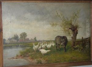 Donkey And Geese By A River