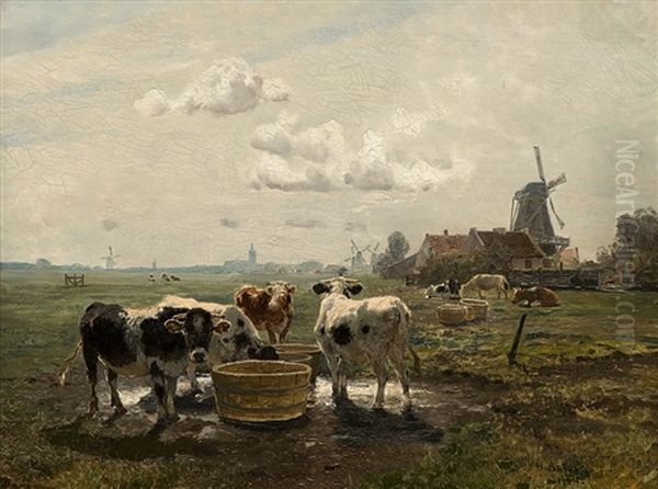 Cows - view 1