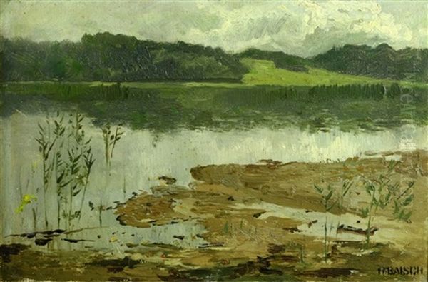 Seelandschaft - view 1