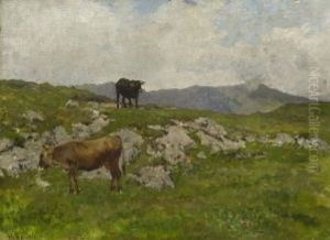 Kuhe Auf Der Hochalm