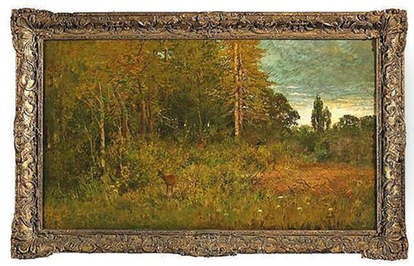 Bluhende Landschaft Am Waldrand Mit Zwei Rehen - view 1