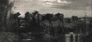 Eine Kuhherde Drangt An Ein Wasserloch