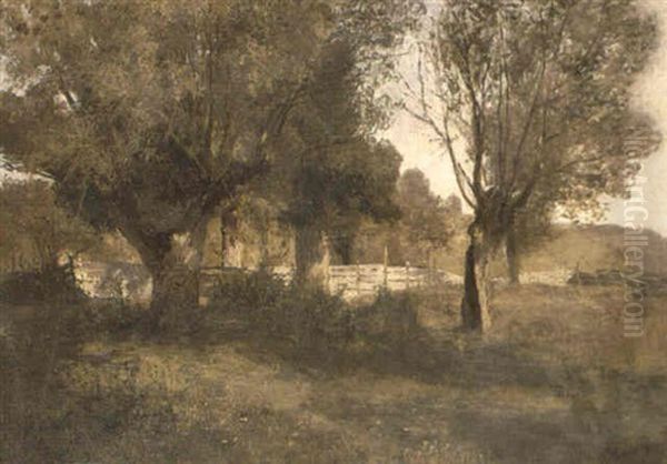 Baumreiche Landschaft - view 1
