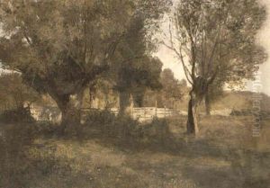Baumreiche Landschaft Baumreiche Landschaft