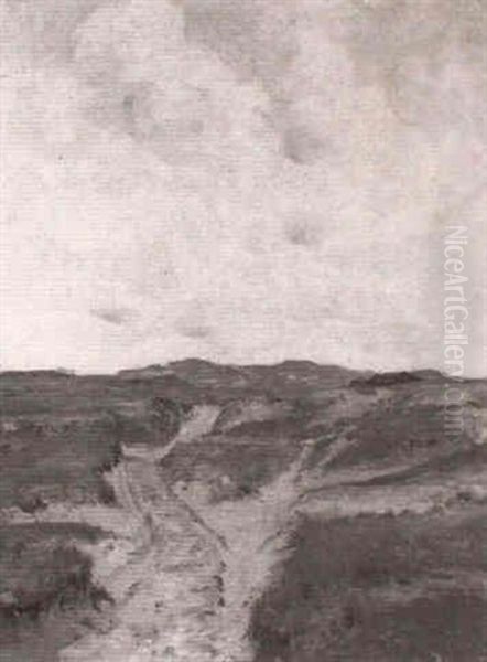Dunenlandschaft Mit Feldweg - view 1