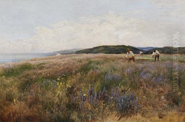 'high And Dry', 'vipers Bugloss Cromer' - view 1