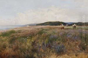 'high And Dry', 'vipers Bugloss Cromer' by John Clayton Adams