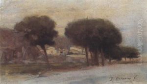 Paisaje Paisaje