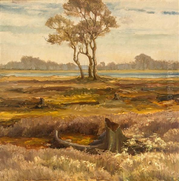 Flusslandschaft - view 1