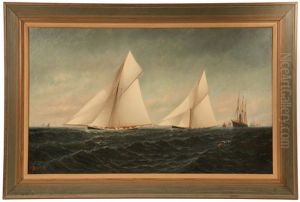Race For The America's Cup
