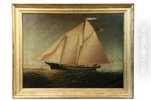 Portrait Of Two Mast Schooner "water Lily" by Elisha (Taylor) Baker