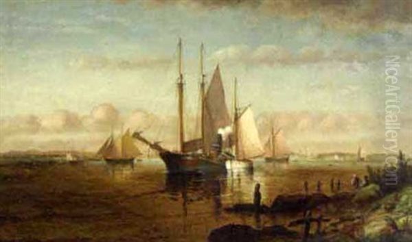 Schooners, Fishing Boats And Tug In A Harbor - view 1