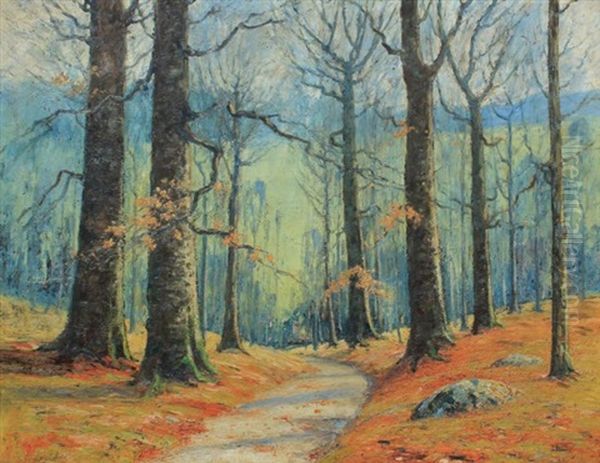 Autumnal Indiana Forest Landscape - view 1