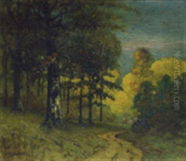 Road Along The Woods - view 1