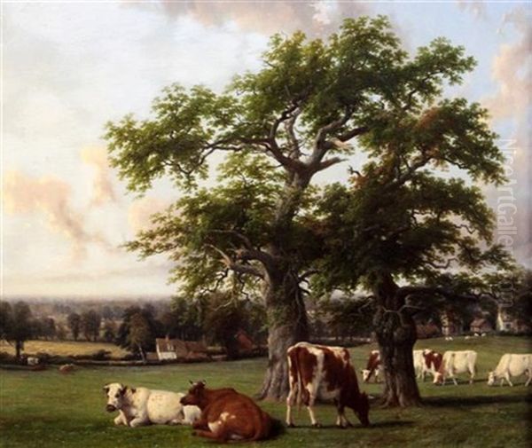Landscape In Warwickshire - view 1