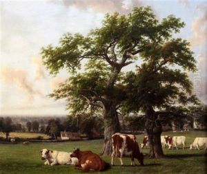 Landscape In Warwickshire