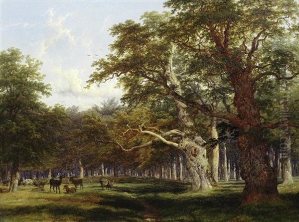 Deer In A Parkland Landscape - view 1