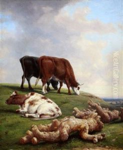 Cattle Grazing Beside A Fallen Tree Trunk