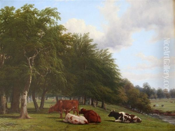 Cattle In Wooded Pasture - view 1