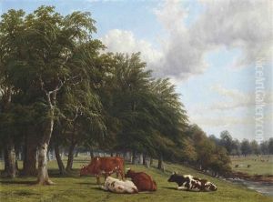 Cattle In Wooded River Landscape