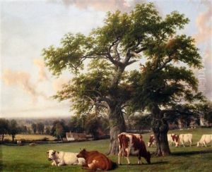 A Warwickshire Landscape