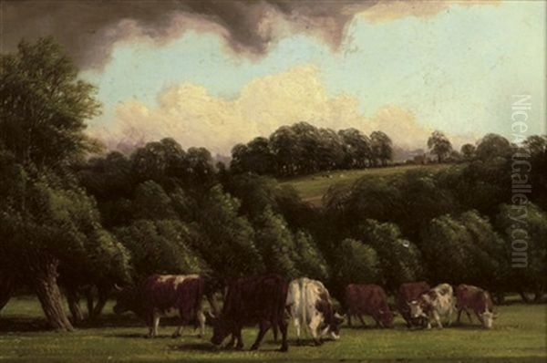 Near Leamington - view 1