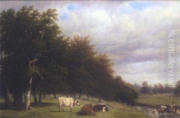 Stoneleigh Park - view 1