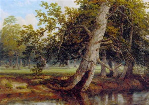 A Sunlit Wooded River Landscape - view 1